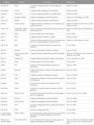 MicroRNAs and long non-coding RNAs in cartilage homeostasis and osteoarthritis